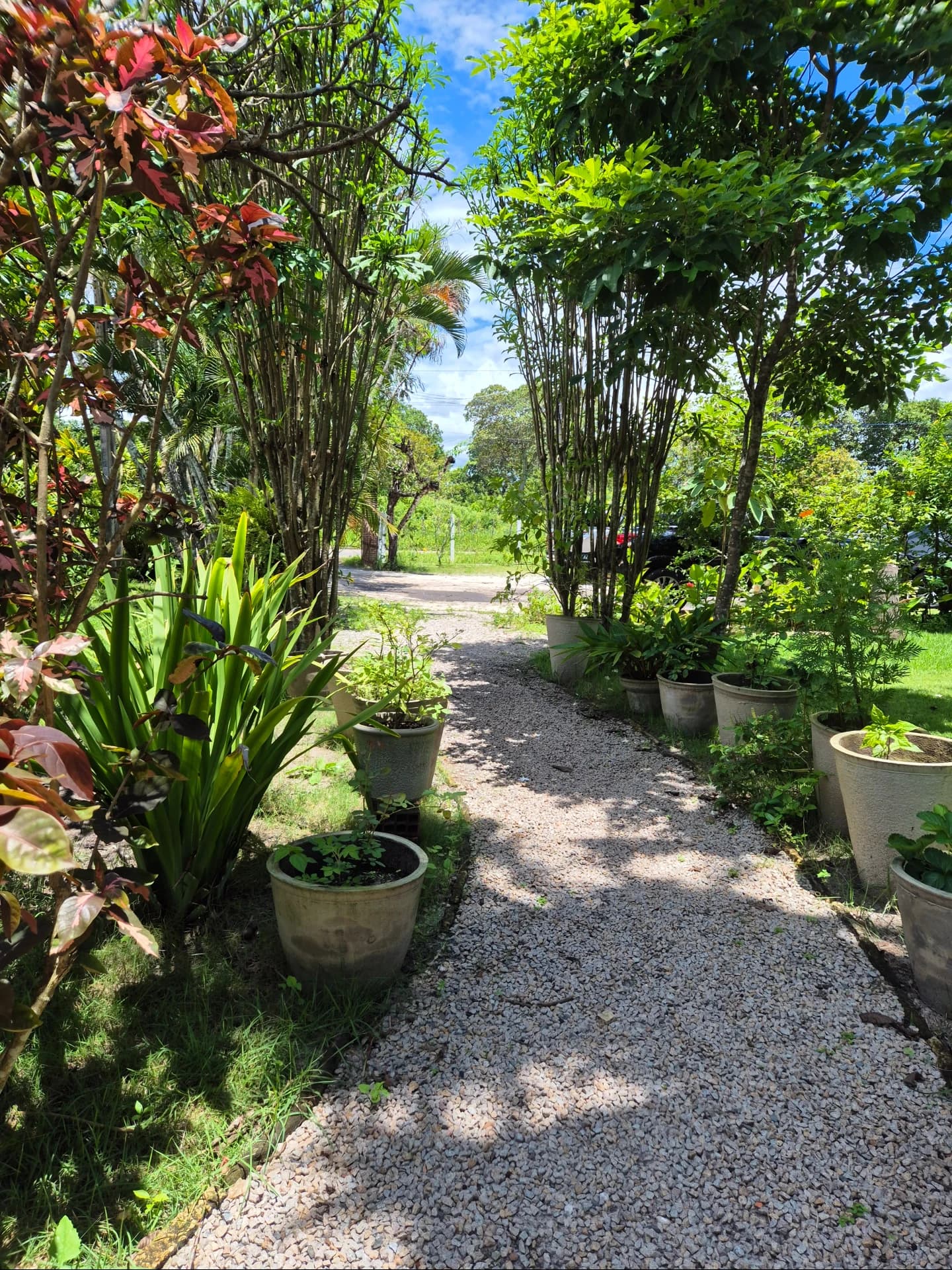 Interior do Restaurante